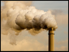 2324800833_475d913685_m