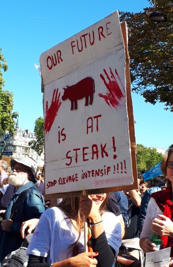 IMG_20190920_133142_847